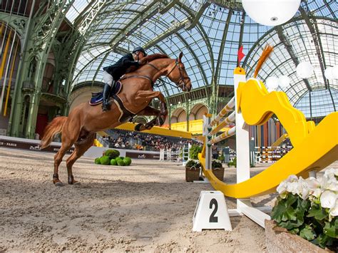 seau hermes|Equestrian show .